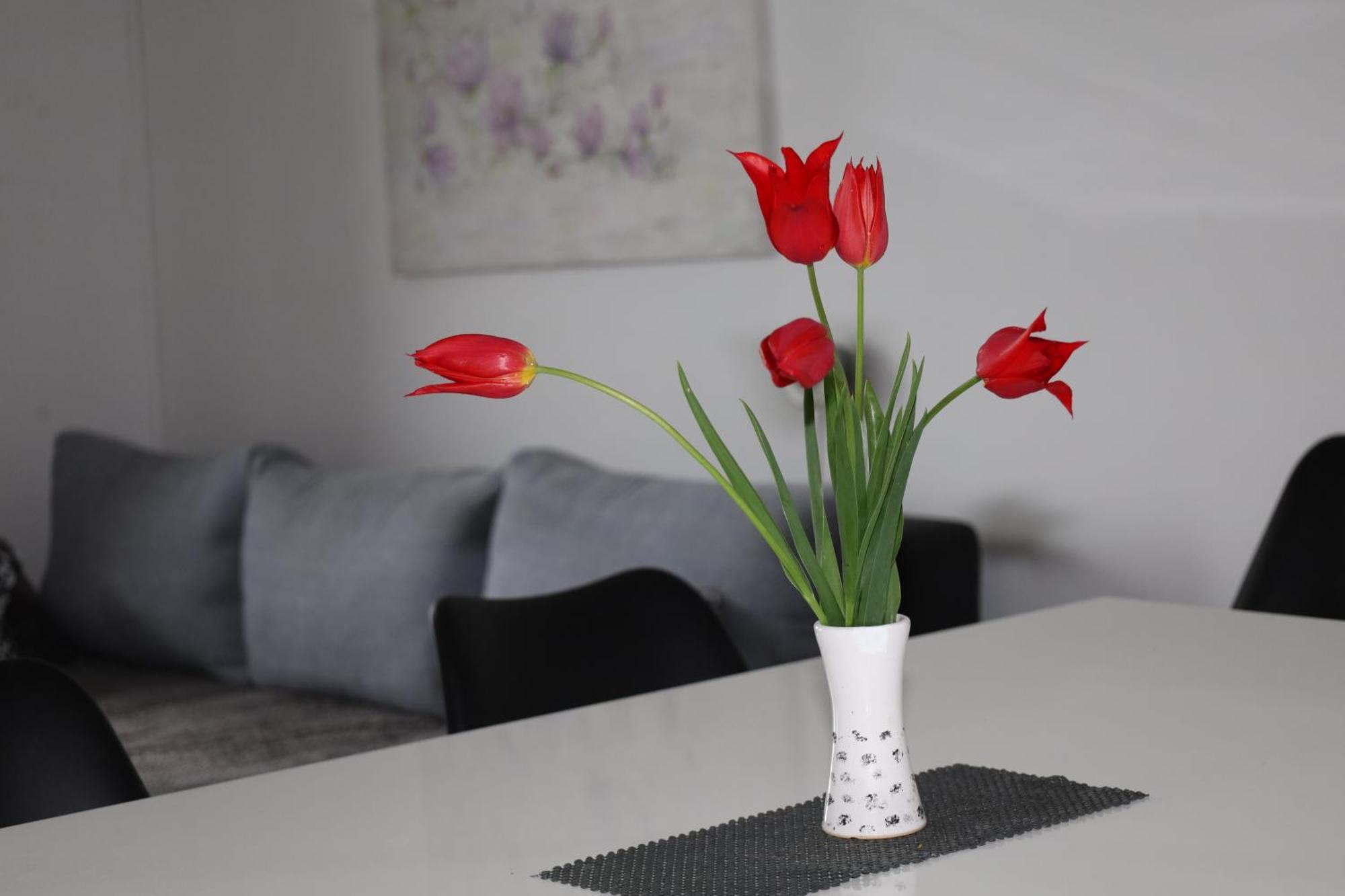 Apartma Javorscek Bovec Buitenkant foto